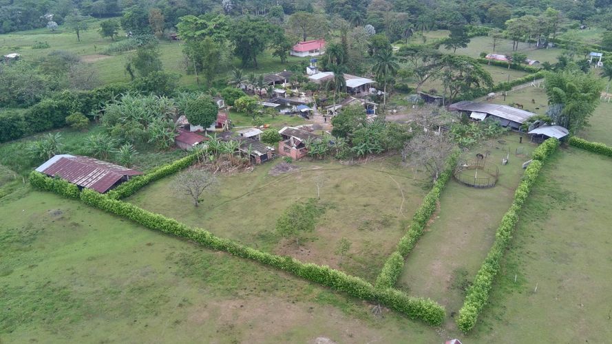 Finca en Venta en El triunfo, Cumaral - Miniatura 18