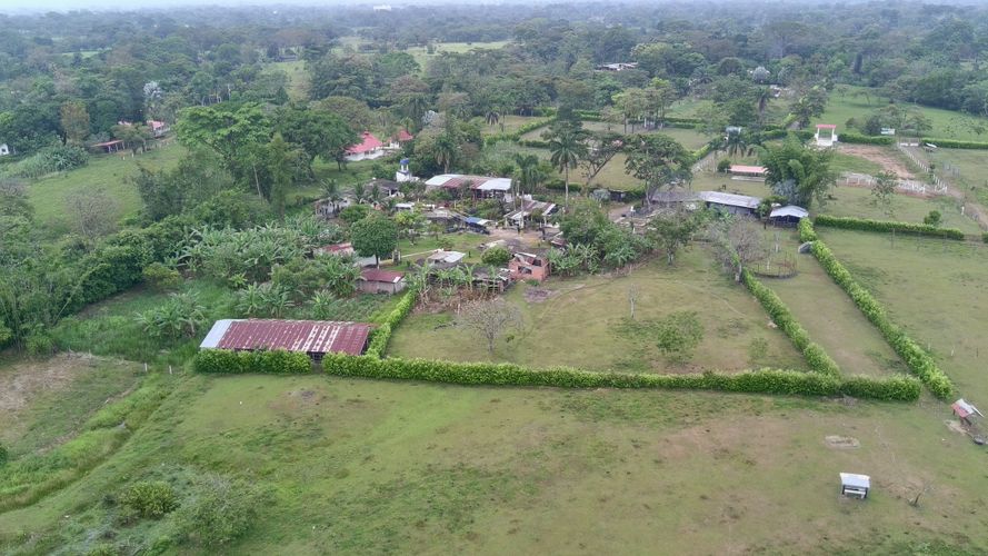Finca en Venta en El triunfo, Cumaral - Miniatura 19