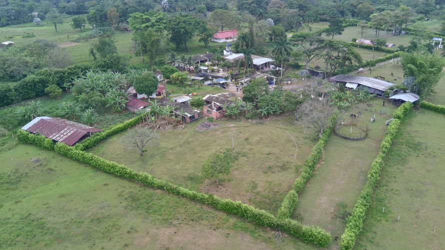 Finca en Venta en El triunfo, Cumaral - Miniatura 20