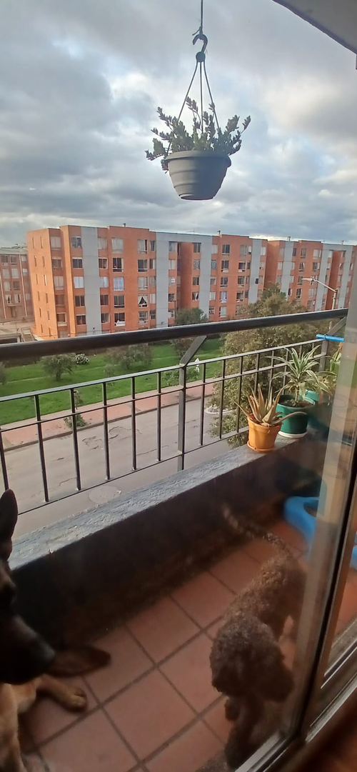 Apartamento en Venta en Villa alsacia, Bogotá - Miniatura 3