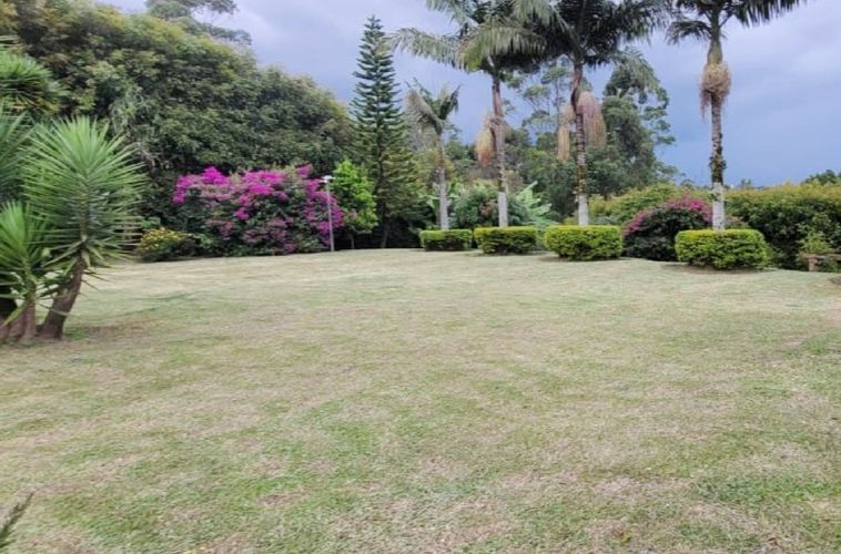Finca en  Arriendo en Chachafruto, Rionegro - Miniatura 13