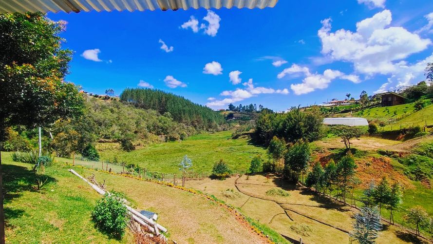 Finca en  Venta en San vicente - Miniatura 3