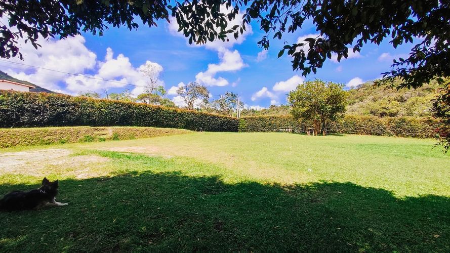 Finca en  Venta en San vicente - Miniatura 5