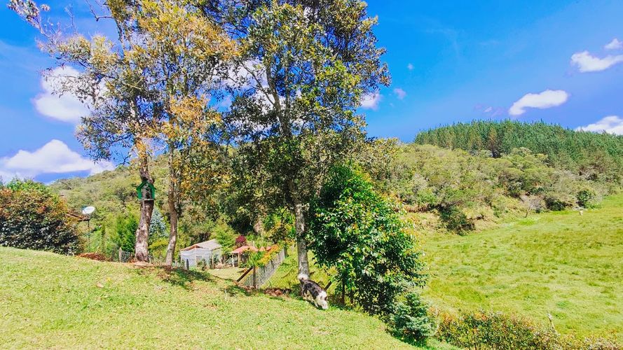 Finca en  Venta en San vicente - Miniatura 8