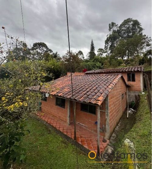 Finca en Arriendo en Centro, Rionegro - Miniatura 2