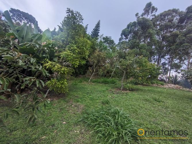 Finca en Arriendo en Centro, Rionegro - Miniatura 9
