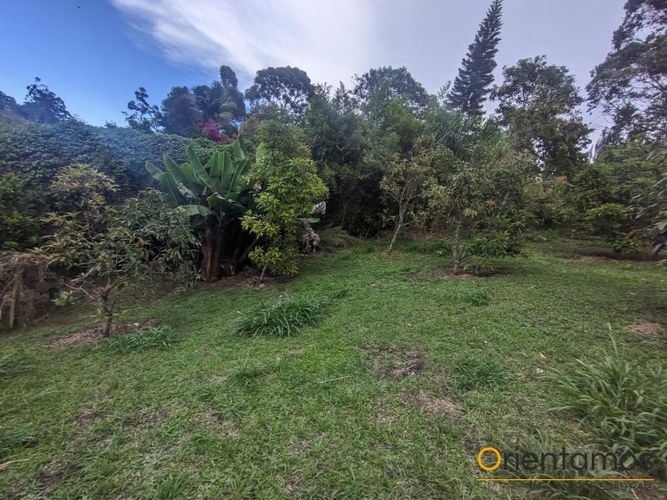 Finca en Arriendo en Centro, Rionegro - Miniatura 10