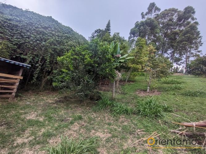 Finca en Arriendo en Centro, Rionegro - Miniatura 11