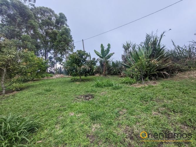 Finca en Arriendo en Centro, Rionegro - Miniatura 12
