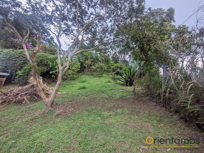 Finca en Arriendo en Centro, Rionegro - Miniatura 13