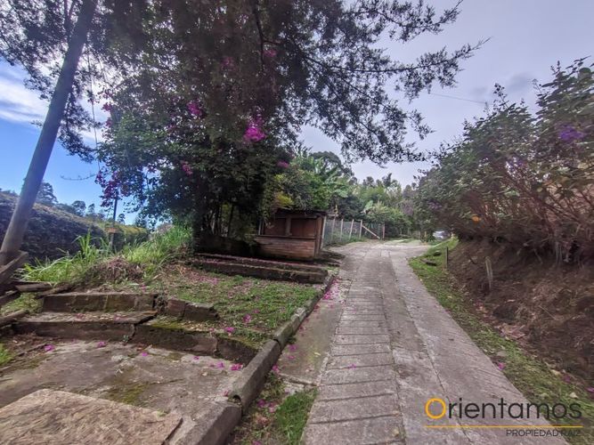 Finca en Arriendo en Centro, Rionegro - Miniatura 17