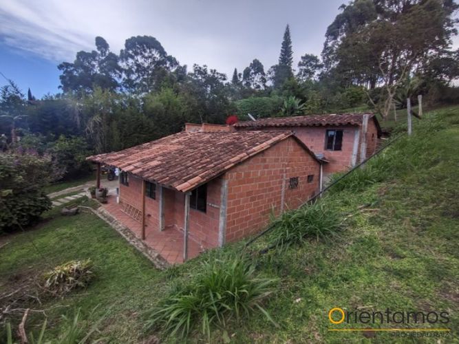 Finca en Arriendo en Centro, Rionegro - Miniatura 18