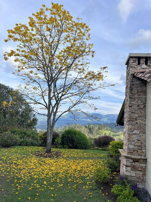 Finca en Arriendo en El tambo, Abejorral - Miniatura 4