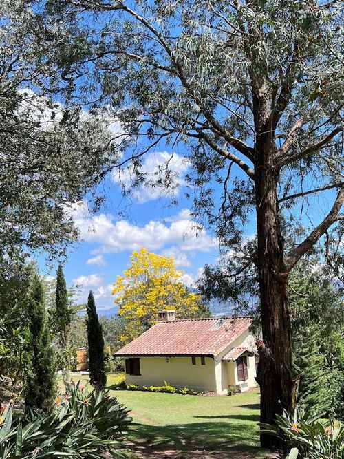 Finca en Arriendo en El tambo, Abejorral - Miniatura 5