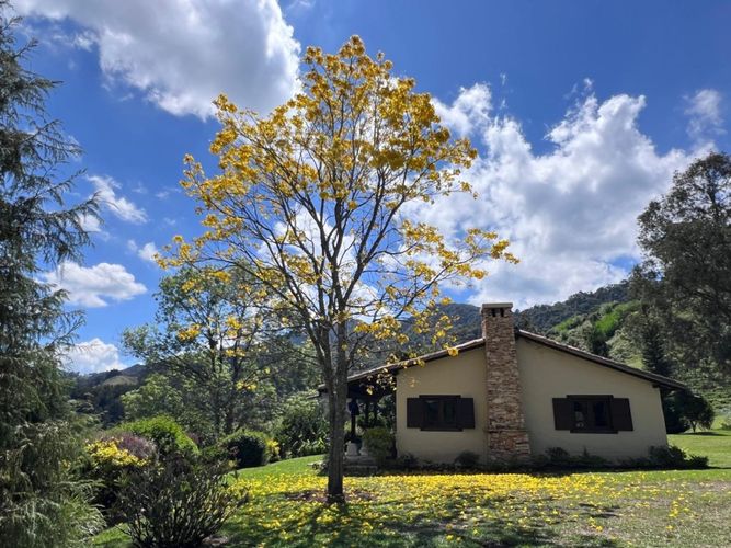 Finca en Arriendo en El tambo, Abejorral - Miniatura 11