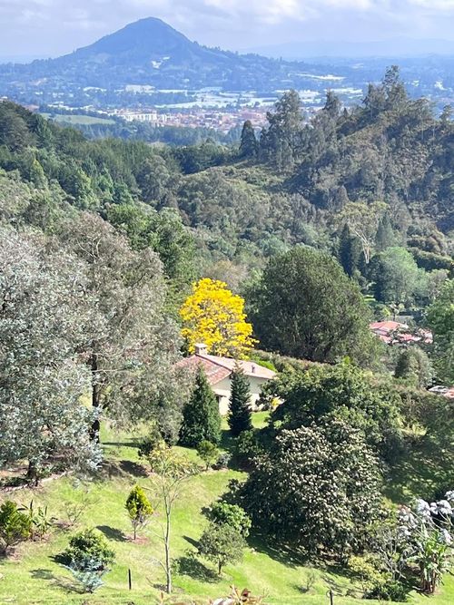 Finca en Arriendo en El tambo, Abejorral - Miniatura 13
