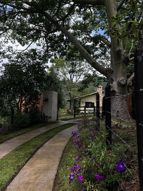 Finca en Arriendo en El tambo, Abejorral - Miniatura 17
