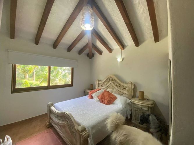 Finca en Arriendo en El porvenir, Rionegro - Miniatura 13