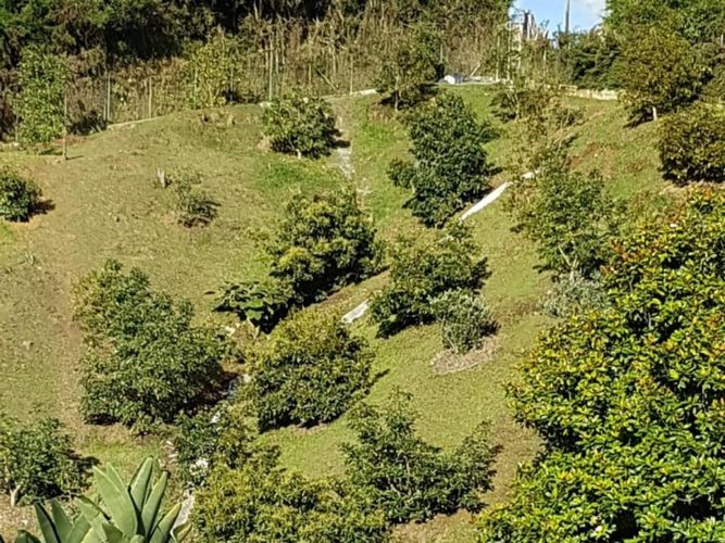 Finca en Arriendo en El retiro - Miniatura 4