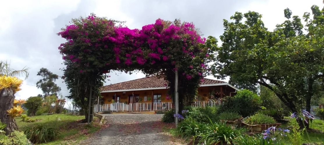Finca en Venta en El salado, Guarne - Miniatura 4