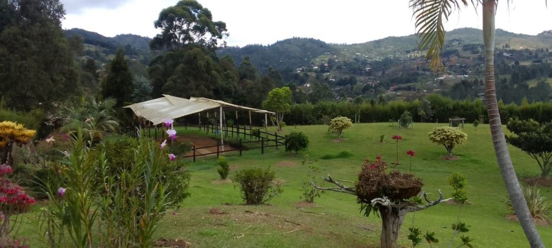 Finca en Venta en El salado, Guarne - Miniatura 18