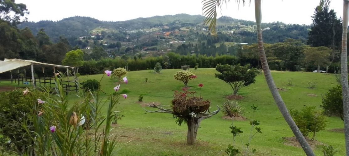Finca en Venta en El salado, Guarne - Miniatura 20