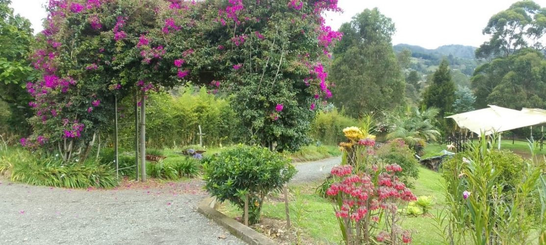 Finca en Venta en El salado, Guarne - Miniatura 21