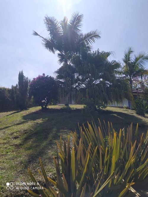 Finca en Arriendo en El porvenir, Rionegro - Miniatura 3