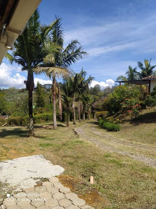 Finca en Arriendo en El porvenir, Rionegro - Miniatura 4
