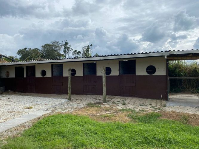 Finca en Arriendo en El porvenir, Rionegro - Miniatura 19