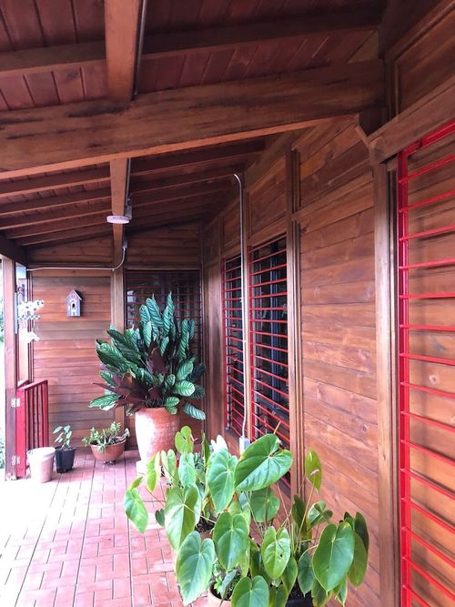 Finca en Arriendo en El tambo, La ceja - Miniatura 14