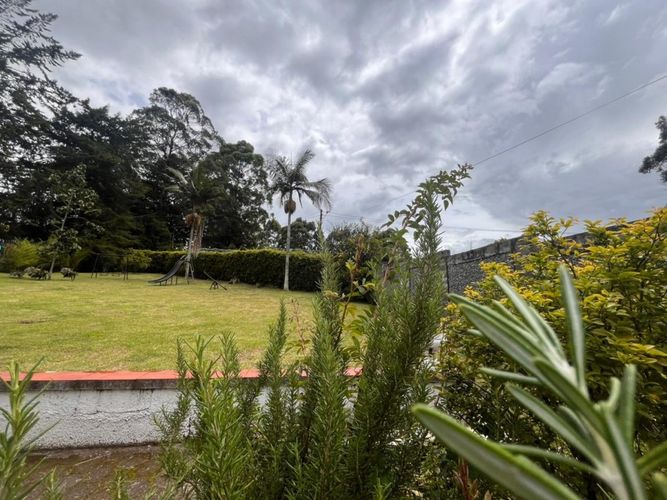 Finca en Arriendo en Las mercedes, Marinilla - Miniatura 10