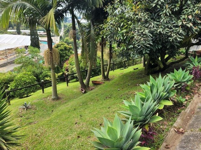 Finca en Arriendo en El salado, Guarne - Miniatura 14