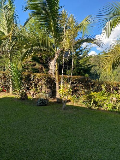 Finca en Arriendo en El porvenir, Rionegro - Miniatura 5