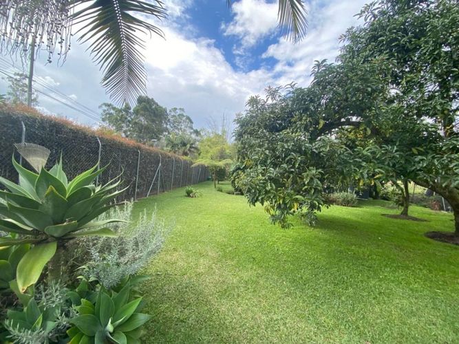 Finca en Arriendo en El porvenir, Rionegro - Miniatura 4