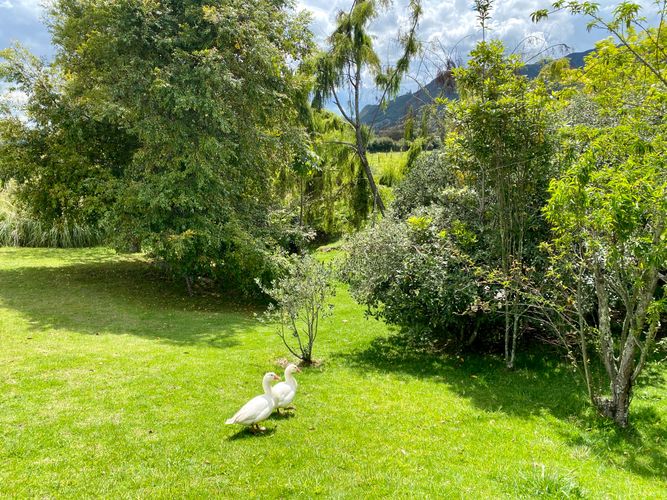 Finca en  Venta en Rio fri ooccidental, Tabio - Miniatura 9