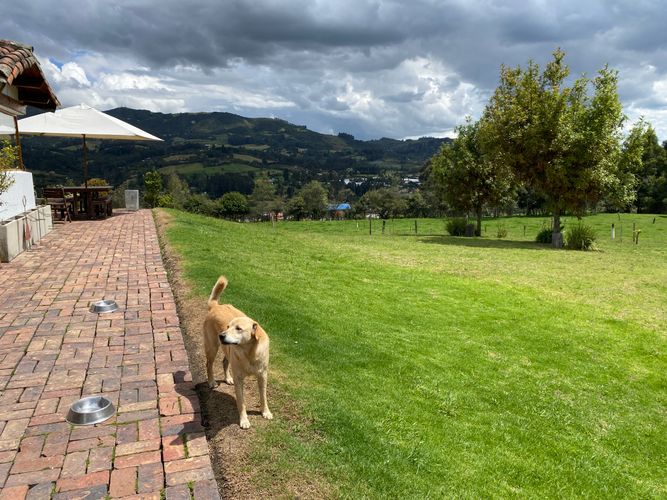 Finca en  Venta en Rio fri ooccidental, Tabio - Miniatura 14