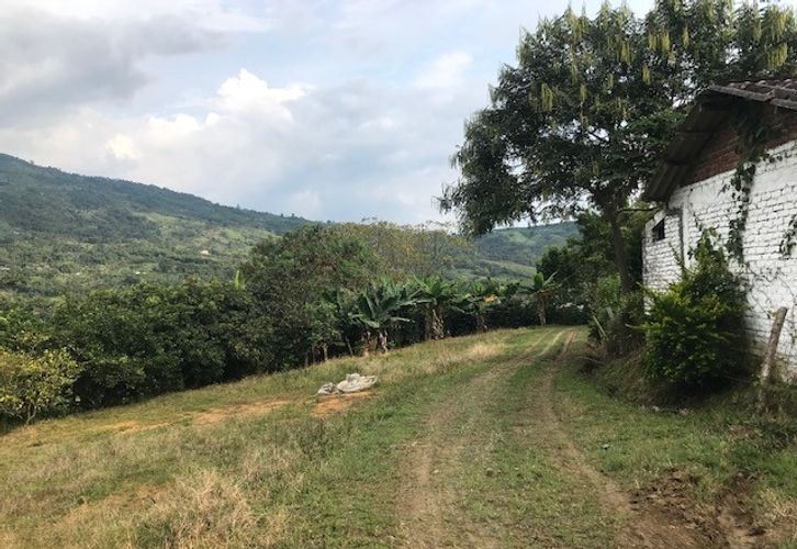 Finca en Venta en Valle del cauca, Guacarí - Miniatura 2