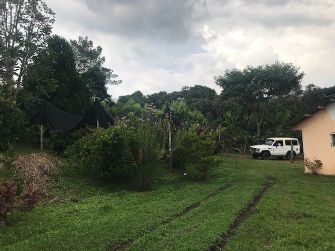 Finca en Venta en Valle del cauca, Guacarí - Miniatura 3