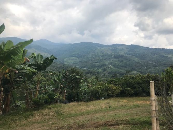 Finca en Venta en Valle del cauca, Guacarí - Imagen 1