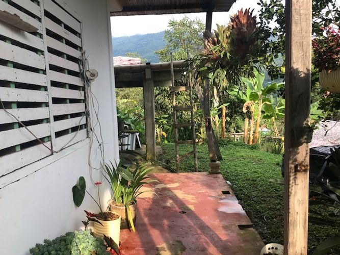 Finca en Venta en Valle del cauca, Guacarí - Miniatura 12