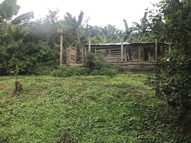 Finca en Venta en Valle del cauca, Guacarí - Miniatura 13