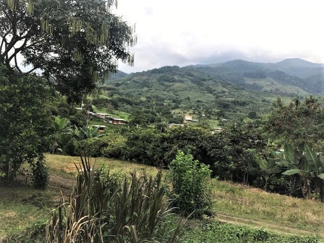 Finca en Venta en Valle del cauca, Guacarí - Miniatura 16