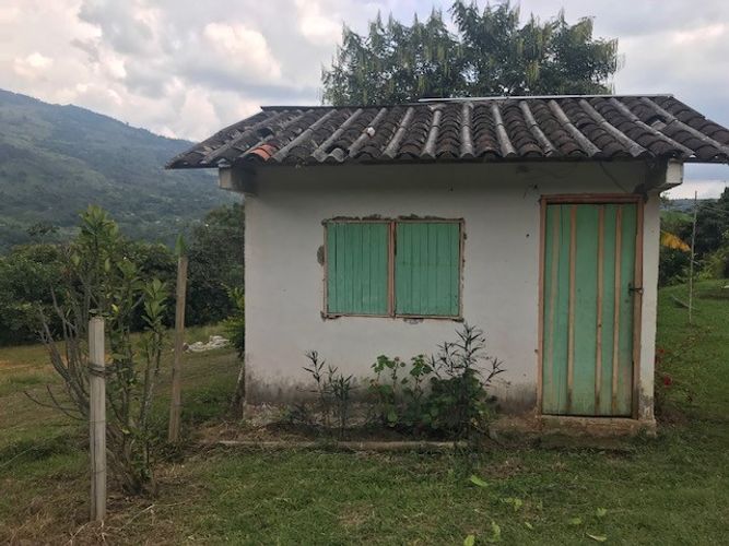 Finca en Venta en Valle del cauca, Guacarí - Miniatura 17