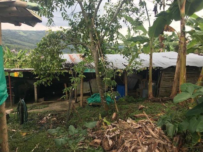 Finca en Venta en Valle del cauca, Guacarí - Miniatura 20