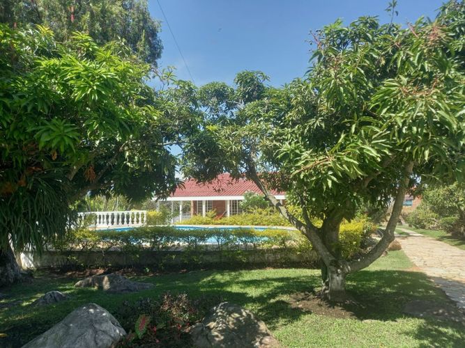 Finca en  Venta en Junin - Miniatura 3