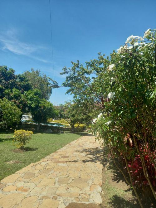 Finca en  Venta en Junin - Miniatura 21