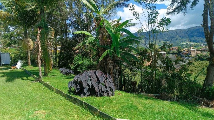 Finca en Arriendo en El carmen de viboral - Miniatura 8