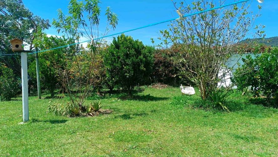 Finca en Arriendo en El carmen de viboral - Miniatura 20