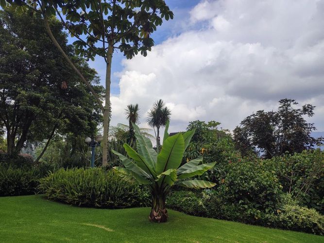 Finca en Venta en Tenjo - Miniatura 4